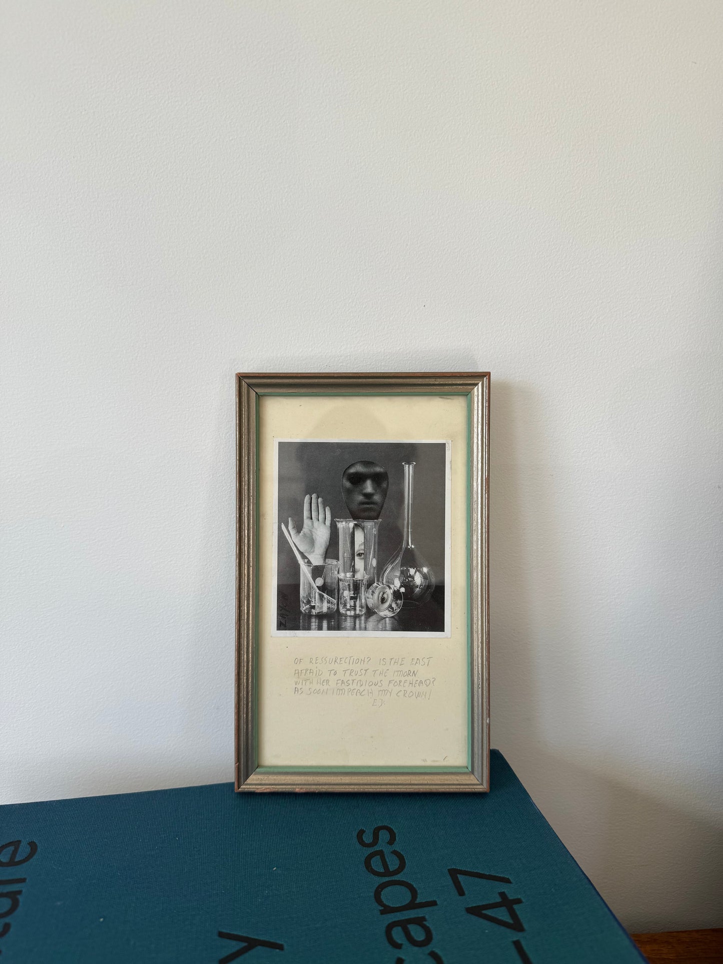 Seymour Zayon Collage