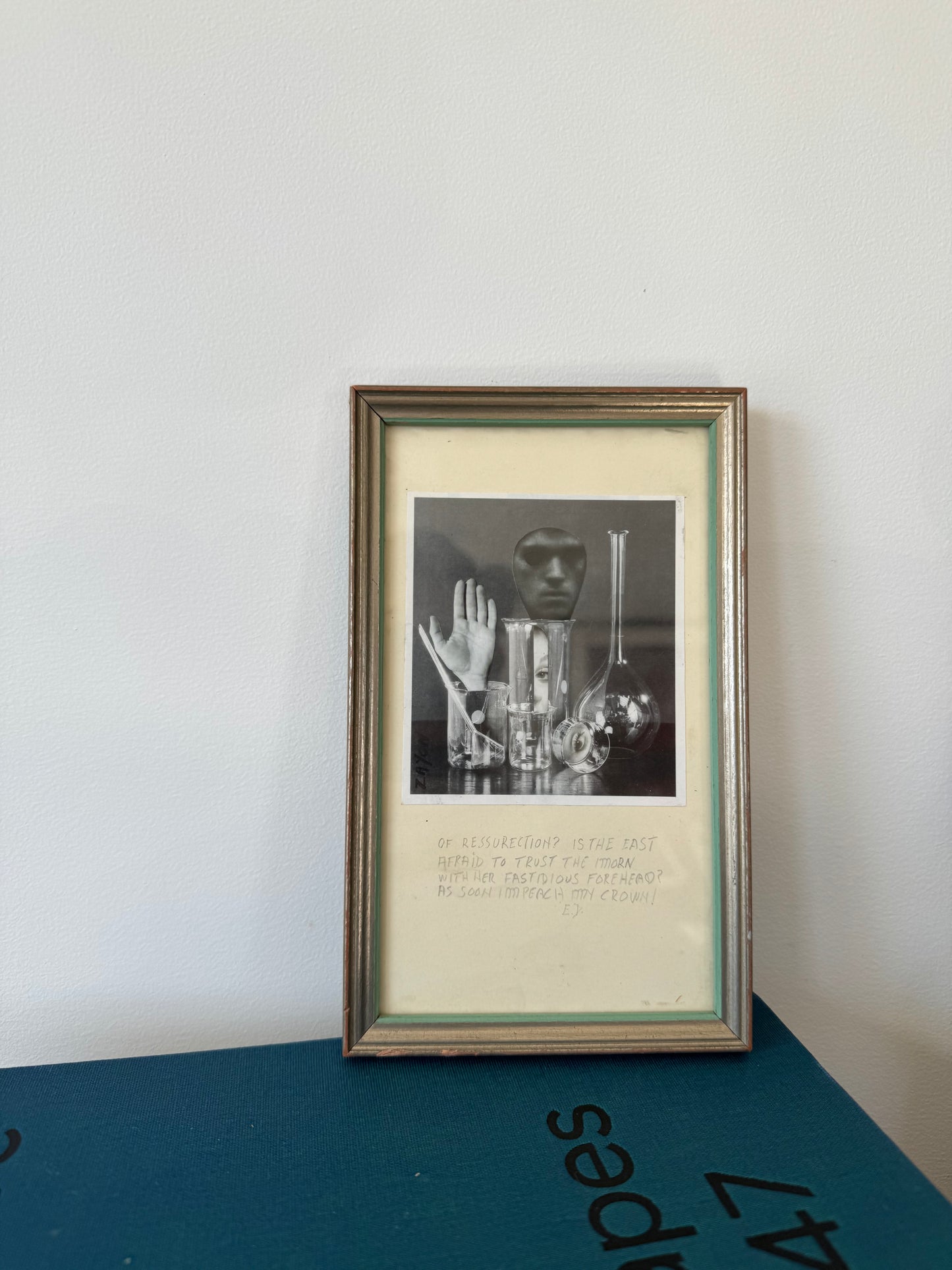 Seymour Zayon Collage